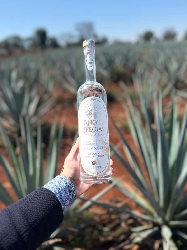 Jimador sosteniendo con orgullo la botella de Angel Special Tequila, reflejando el carácter puramente humano de nuestra destilería